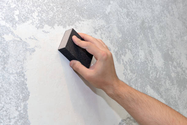 Best Mold Damage Restoration  in Caro, MI