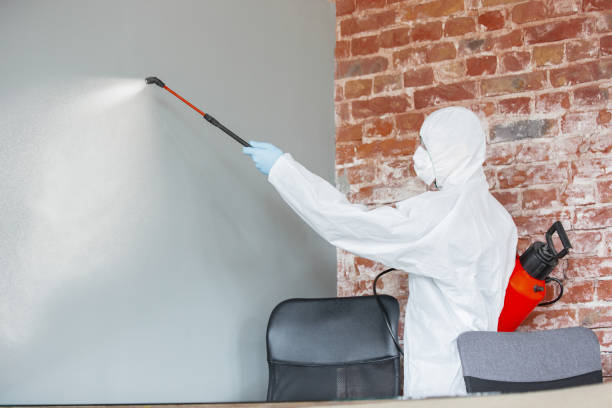 Best Residential Mold Inspection & Testing  in Caro, MI