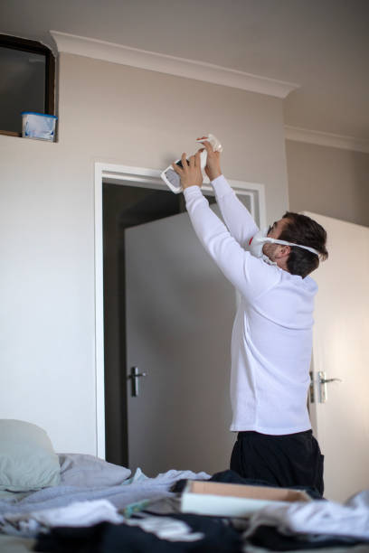  Caro, MI Mold Removal Pros
