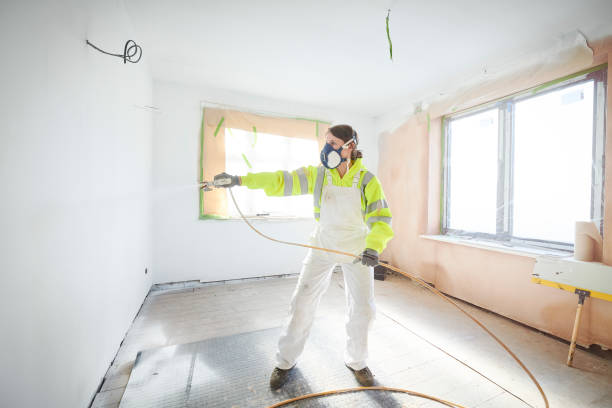 Best Mold Removal for HVAC Installations  in Caro, MI