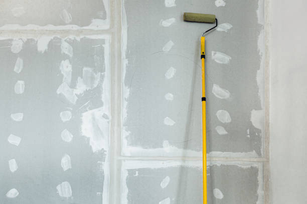 Best Crawl Space Mold Remediation  in Caro, MI