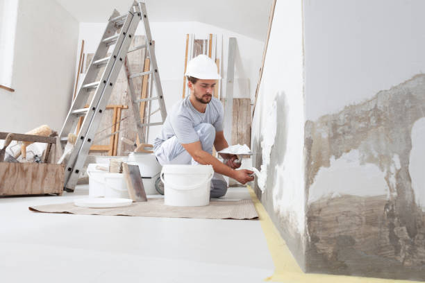 Professional Mold Removal in Caro, MI