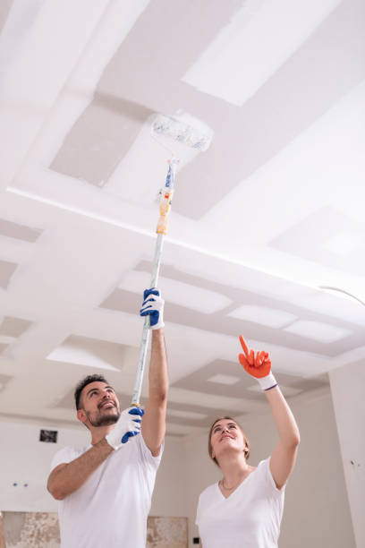 Best Industrial Mold Remediation  in Caro, MI