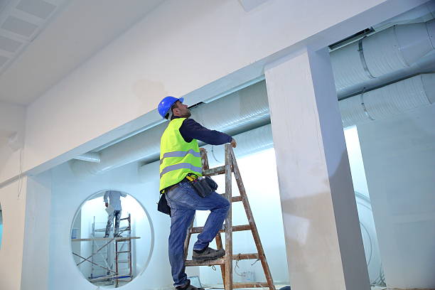 Best Basement Mold Removal  in Caro, MI